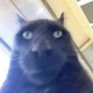 Meet your Posher, Matt